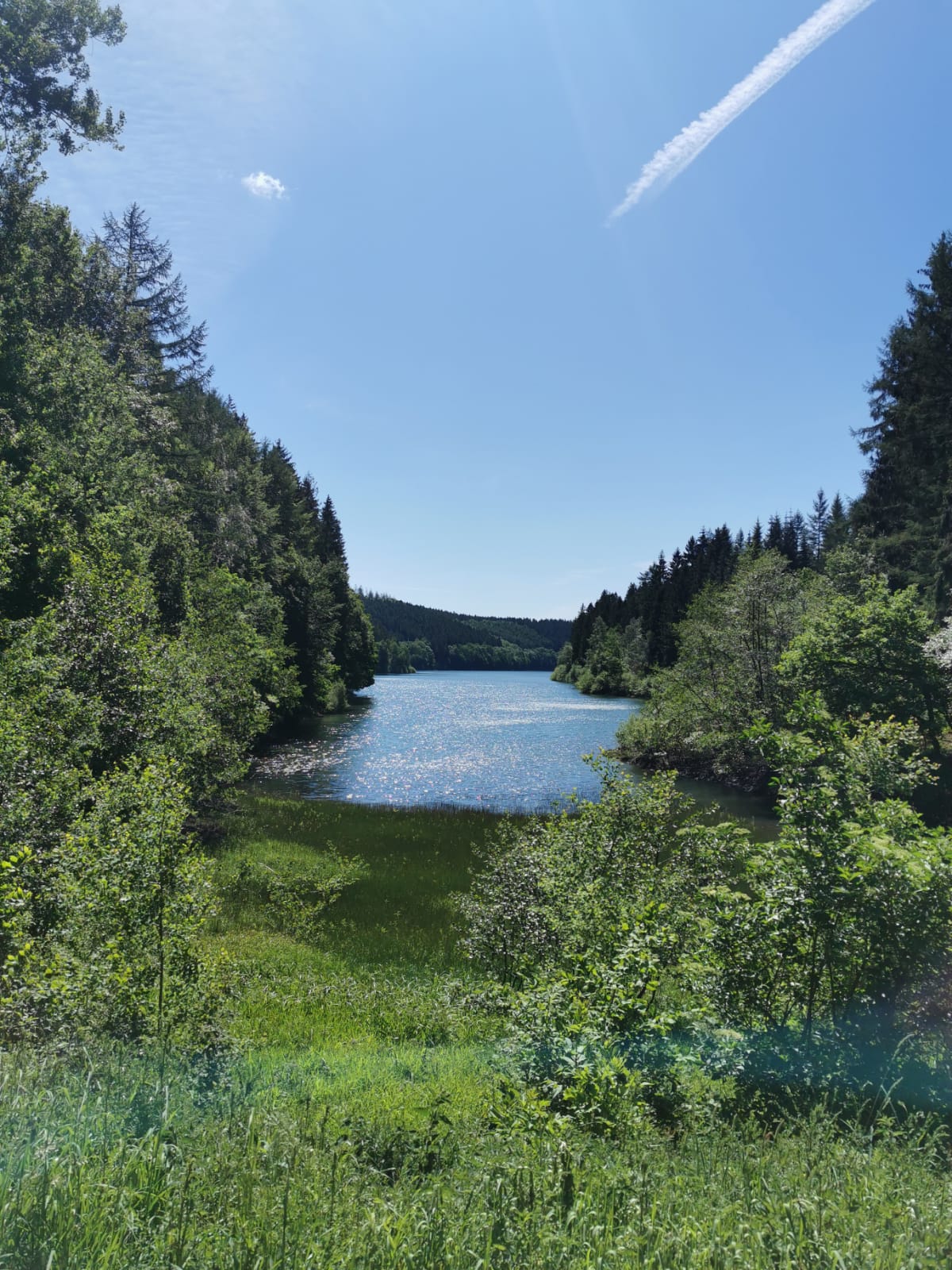 Wanderung um die Genkeltalsperre - Bellamopst